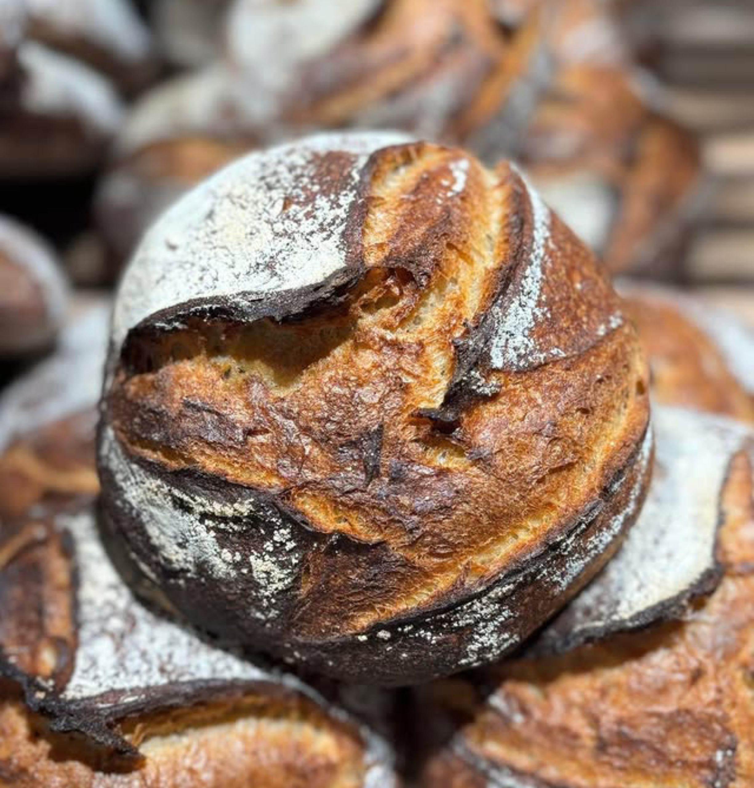 Boulangerie Salleboeuf